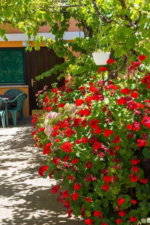 Apartments Stefanovski Paradiso Veli Lošinj Δωμάτιο φωτογραφία